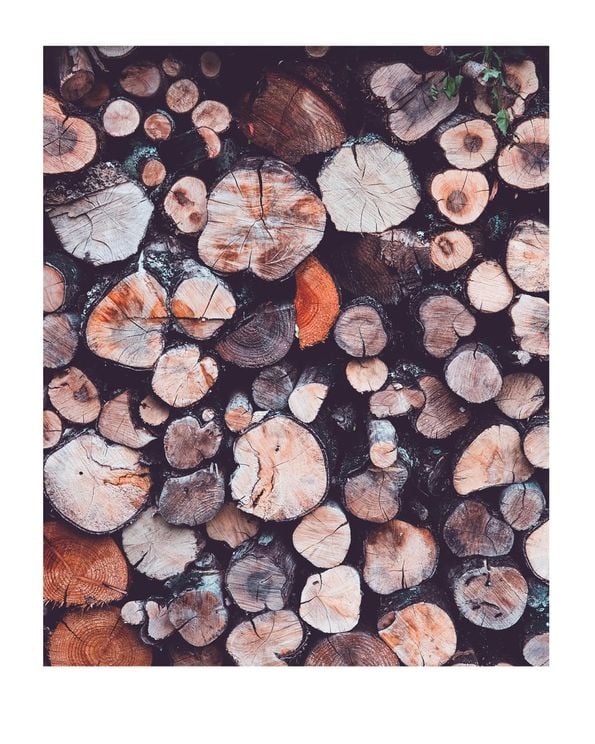 Trees