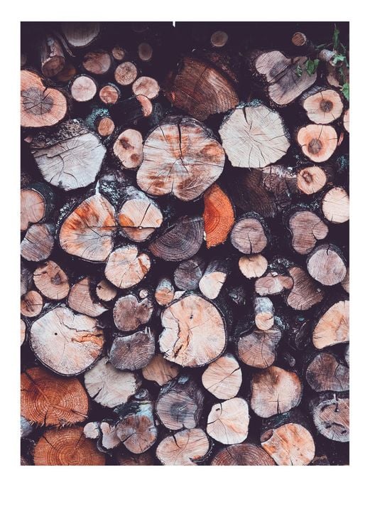 Trees
