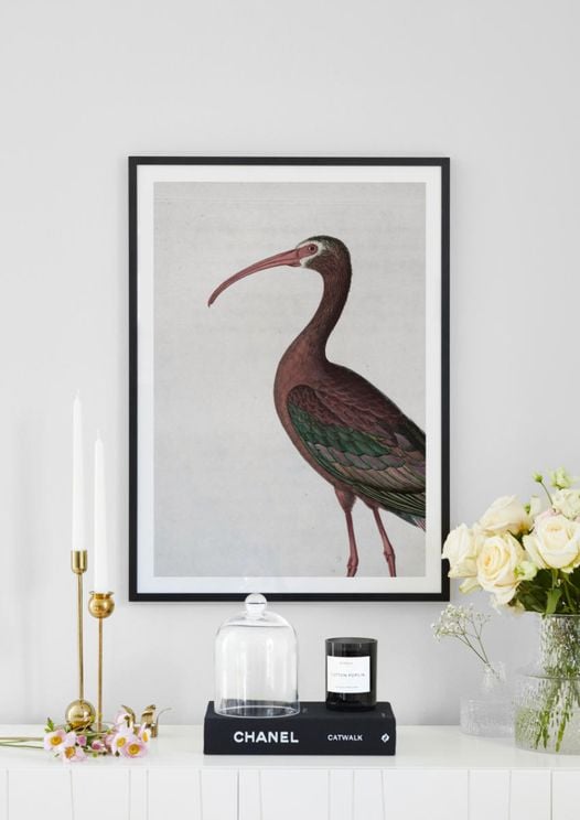 Tropical Bird Vintage