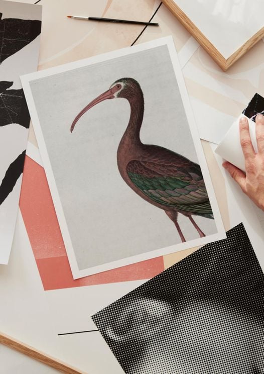 Tropical Bird Vintage