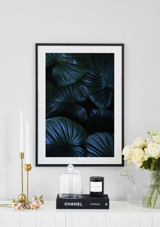 Tropical Night