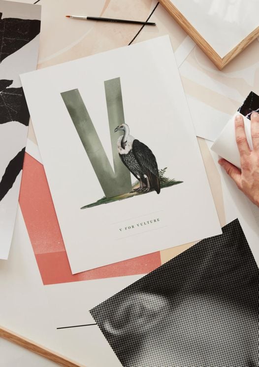 V For Vulture