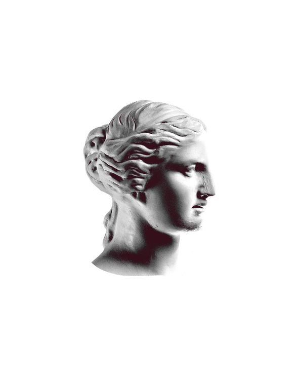 Venus In Profile