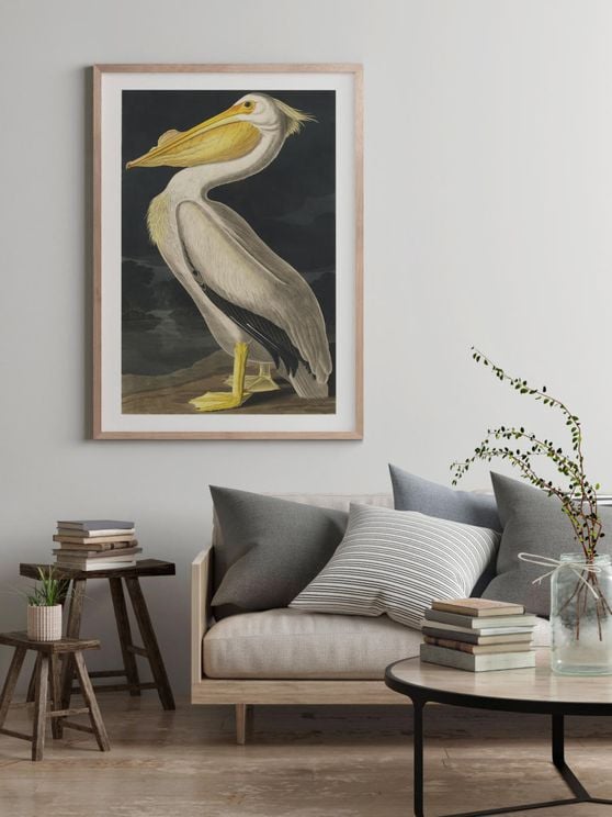 Vintage Bird