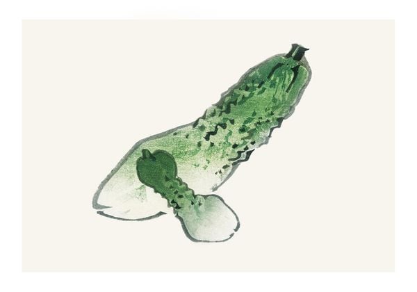 Vintage Cucumber