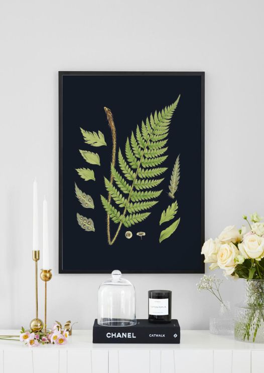 Vintage Flower In Dark