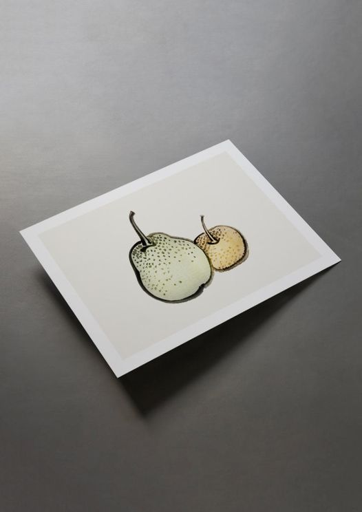 Vintage Pears