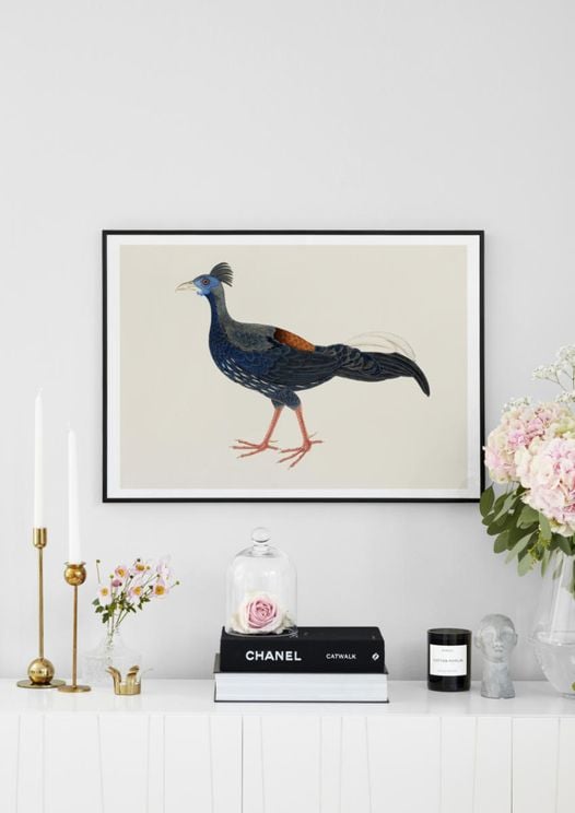 Vintage Pheasant