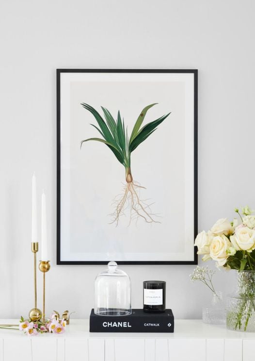 Vintage Plant