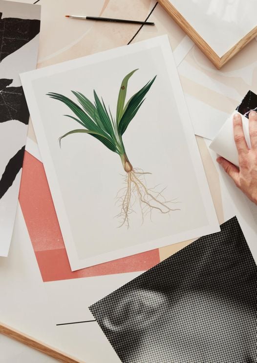 Vintage Plant