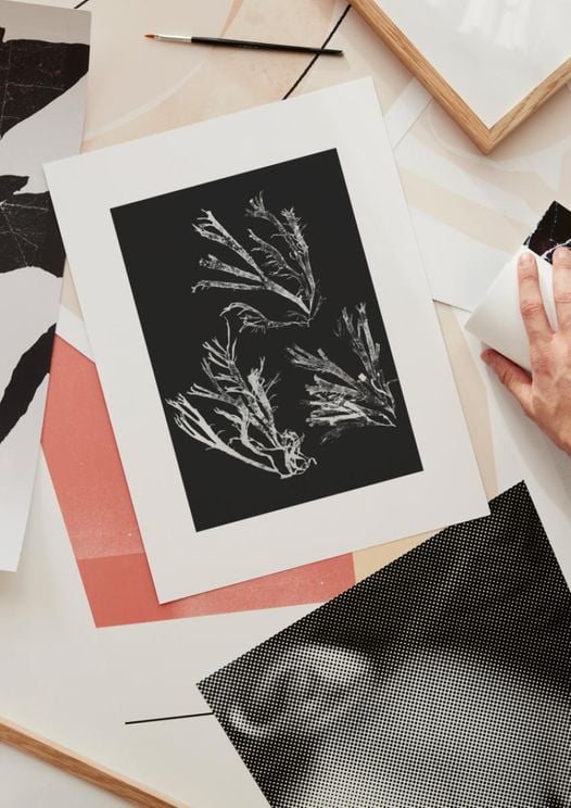 Vintage Seaweed