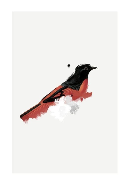 Watercolor Bird