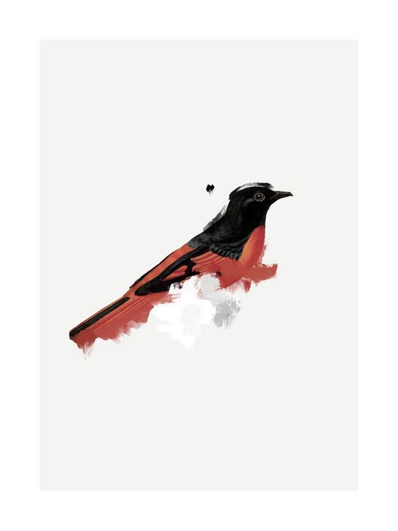 Watercolor Bird