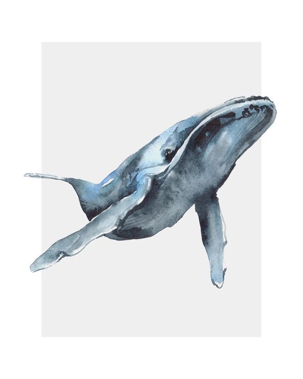 Watercolor Whale