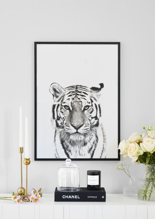 spitze Purchase White Tiger Online Poster