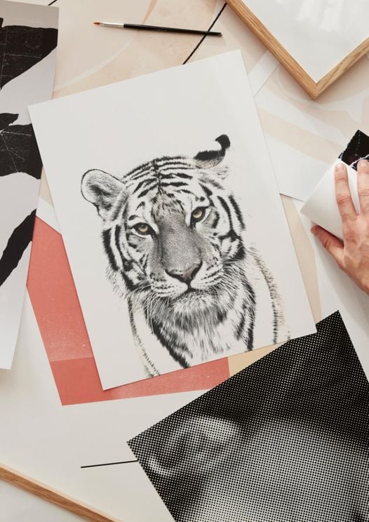 Purchase White Tiger Poster Online