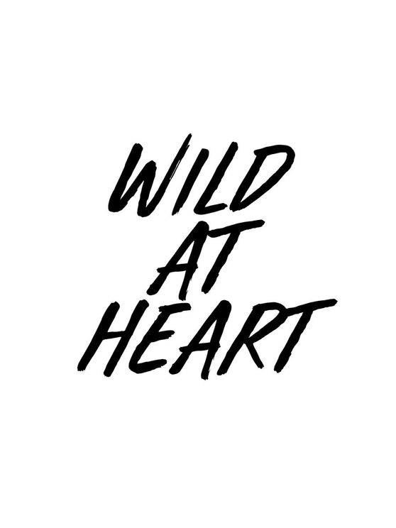 Wild At Heart