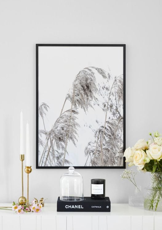 Winter Reed 1
