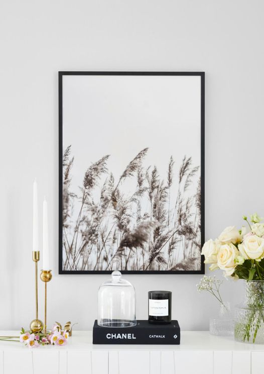 Winter Reed 3