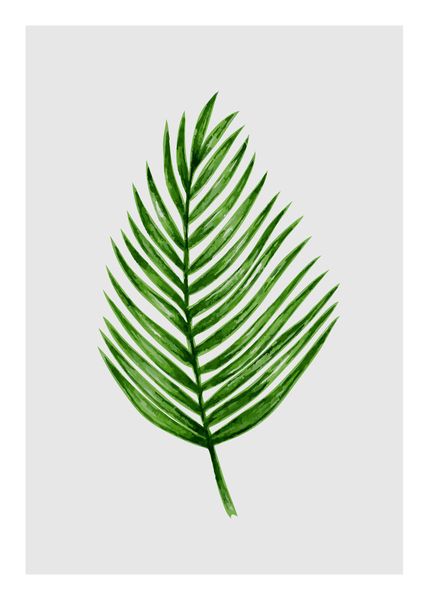 Quadro su tessuto con stecche per poster - Gold - Palm Leaf On